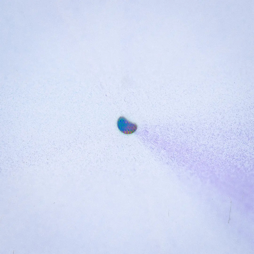 byleth new era art 01